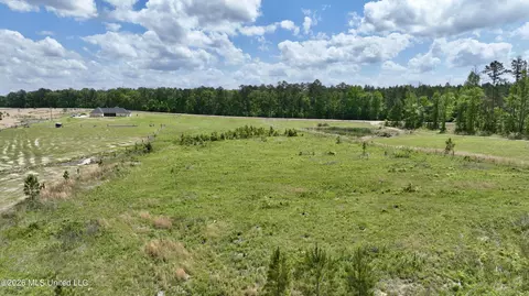 0010 Coal Bluff Rd, Lena, MS 39094 photo 16