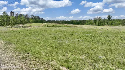 0010 Coal Bluff Rd, Lena, MS 39094 photo 2