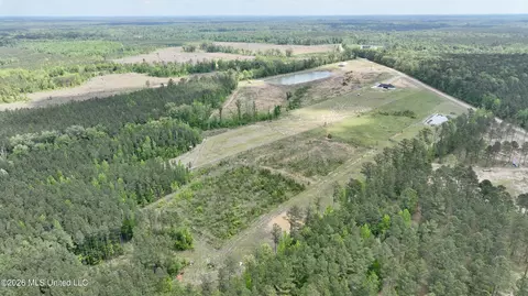0010 Coal Bluff Rd, Lena, MS 39094 photo 19
