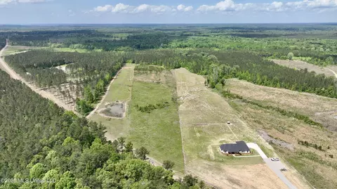0010 Coal Bluff Rd, Lena, MS 39094