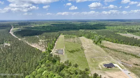 0010 Coal Bluff Rd, Lena, MS 39094 photo 23