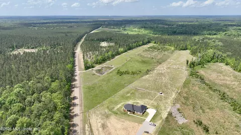 0010 Coal Bluff Rd, Lena, MS 39094 photo 3