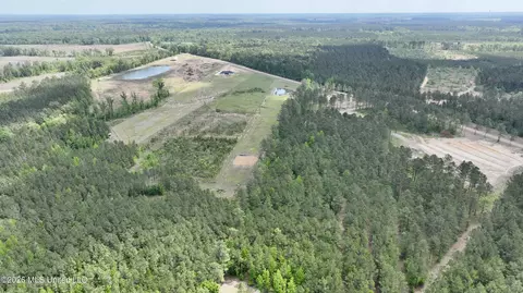 0010 Coal Bluff Rd, Lena, MS 39094 photo 17