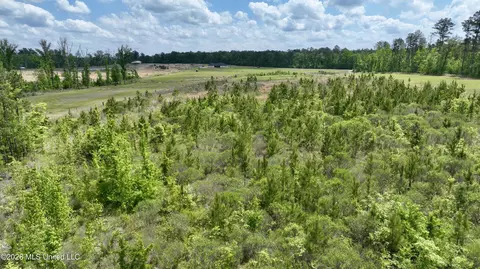 0010 Coal Bluff Rd, Lena, MS 39094 photo 18