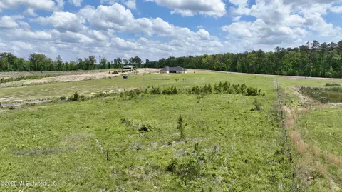 0010 Coal Bluff Rd, Lena, MS 39094 photo 11