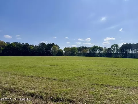 013 Stump Bridge Rd, Canton, MS 39046 photo 14