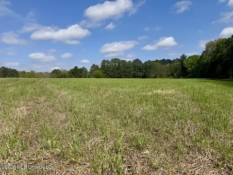 013 Stump Bridge Rd, Canton, MS 39046 photo 9