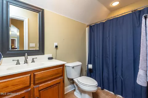Bath - 2670 Emerald Way Dr, Hernando, MS 38632 photo 3 of 4