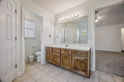 Bath - 7238 Crape Myrtle Dr, Olive Branch, MS 38654 photo 2 of 3