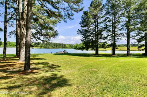 View/Area - 130 Pine Lake Cv, Flora, MS 39071 photo 1 of 5