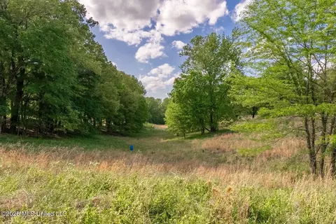 000 Hankins Rd, Sarah, MS 38665 photo 20