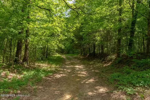 000 Hankins Rd, Sarah, MS 38665 photo 23