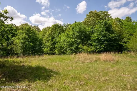 000 Hankins Rd, Sarah, MS 38665 photo 26