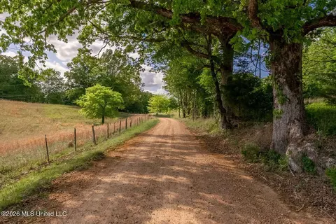 000 Hankins Rd, Sarah, MS 38665 photo 2