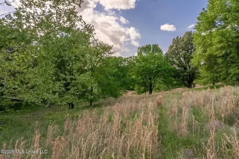 000 Hankins Rd, Sarah, MS 38665 photo 17