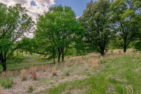 000 Hankins Rd, Sarah, MS 38665 photo 16