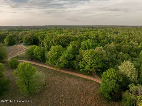 000 Hankins Rd, Sarah, MS 38665 photo 3