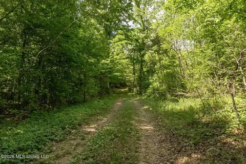 000 Hankins Rd, Sarah, MS 38665 photo 25