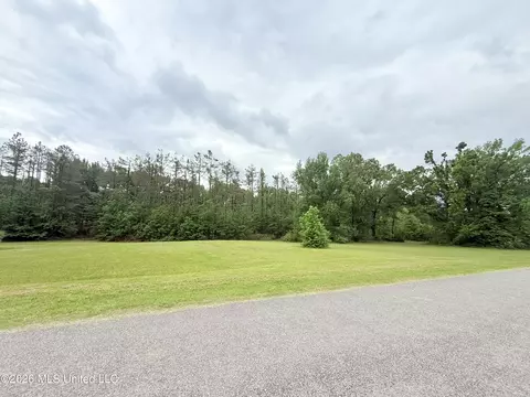 Whitney Drive, Grenada, MS 38901 photo 7
