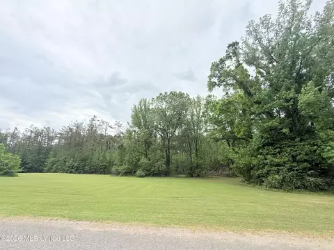 Whitney Drive, Grenada, MS 38901 photo 8