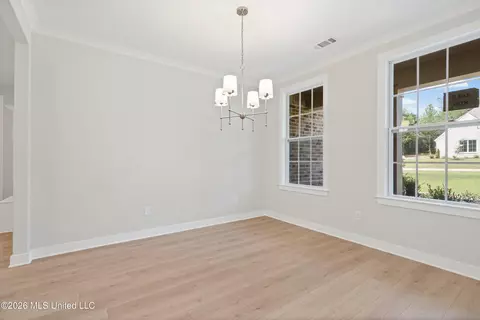 Other - 1794 Single Tree Dr, Hernando, MS 38632 photo 1 of 7