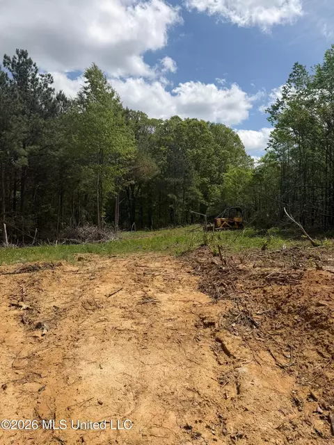 lot4 Cayce Rd, Byhalia, MS 38611