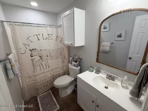 Bath - 306 Swan Dr, Brandon, MS 39047 photo 4 of 4