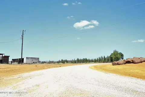 80 Ac Little Cedar Rd, Lucedale, MS 39452 photo 3