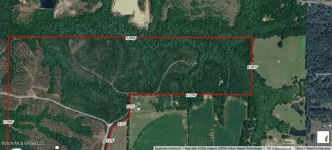 80 Ac Little Cedar Rd, Lucedale, MS 39452 photo 6
