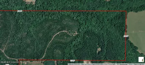 80 Ac Little Cedar Rd, Lucedale, MS 39452 photo 5