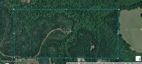 80 Ac Little Cedar Rd, Lucedale, MS 39452