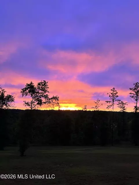 Other - 140 Leslie Williams Rd, Lucedale, MS 39452 photo 13 of 14