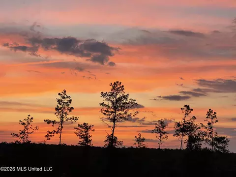 Other - 140 Leslie Williams Rd, Lucedale, MS 39452 photo 14 of 14