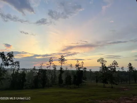 Other - 140 Leslie Williams Rd, Lucedale, MS 39452 photo 12 of 14