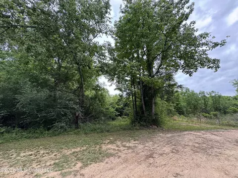0 Miller Ln, Summit, MS 39666