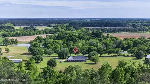 View/Area - 6819 Pinetop Rd, Lucedale, MS 39452 photo 7 of 7