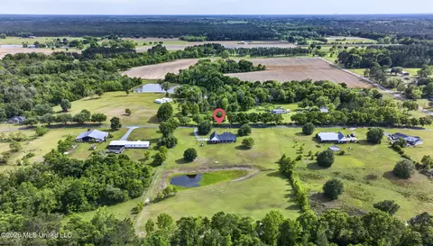 View/Area - 6819 Pinetop Rd, Lucedale, MS 39452 photo 5 of 7