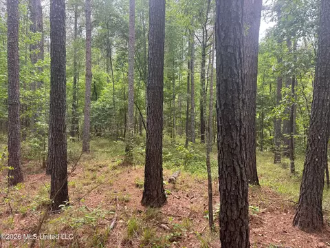 Bushtown Road, Pinola, MS 39149