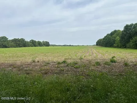Old Jackson Road, Canton, MS 39046 photo 2
