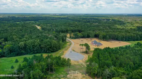 Stout Meadows Lane, Madison, MS 39110 photo 2