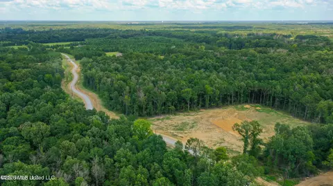 Stout Meadows Lane, Madison, MS 39110 photo 17
