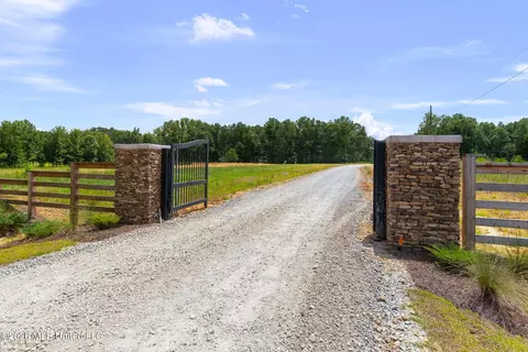 Stout Meadows Lane, Madison, MS 39110 photo 15