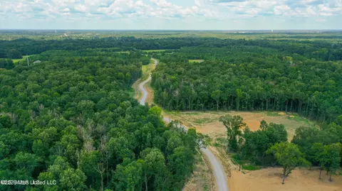 Stout Meadows Lane, Madison, MS 39110 photo 4