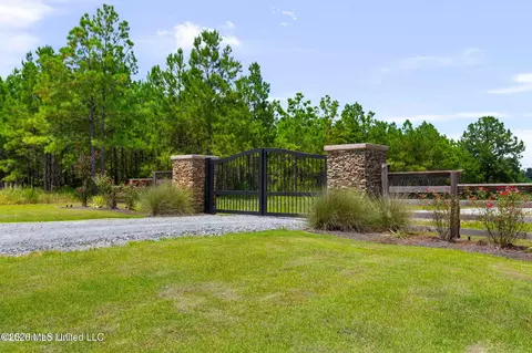 Stout Meadows Lane, Madison, MS 39110 photo 11