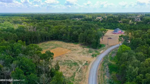 Stout Meadows Lane, Madison, MS 39110 photo 8