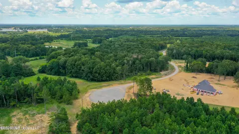 Stout Meadows Lane, Madison, MS 39110 photo 5