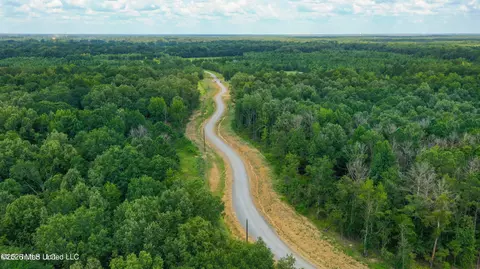 Stout Meadows Lane, Madison, MS 39110 photo 6