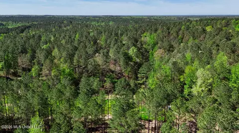 Other - 333 Beaverdam Rd, Camden, MS 39045 photo 44 of 54