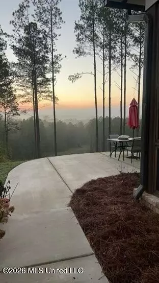 Other - 333 Beaverdam Rd, Camden, MS 39045 photo 51 of 54