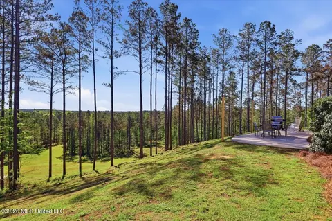 Other - 333 Beaverdam Rd, Camden, MS 39045 photo 10 of 54